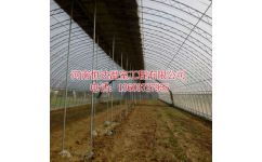 溫室大棚建造 智能溫室大棚 恒達溫室