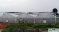 高檔花卉溫室大棚 供應、價格與廠家全解析