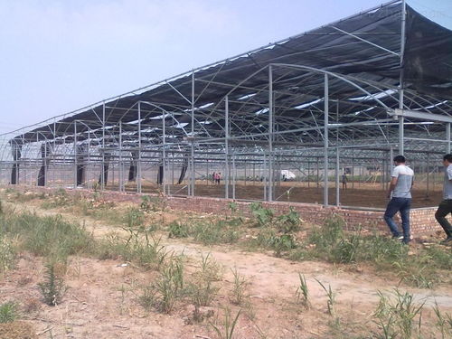 通許聯棟棚加工廠——推動現代溫室大棚產業發展的引領者