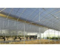 現代化溫室大棚 高效農業的關鍵設施