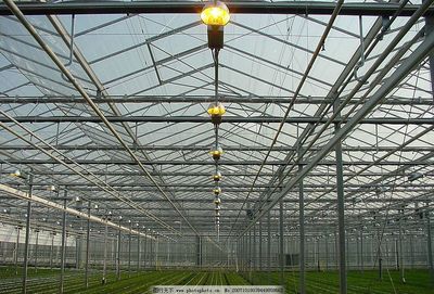 漢之源大棚 現代溫室農業的創新與實踐