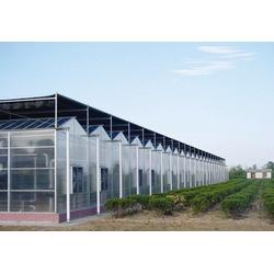 生態餐廳的供應鏈體系 從溫室大棚到餐桌的綠色生態循環